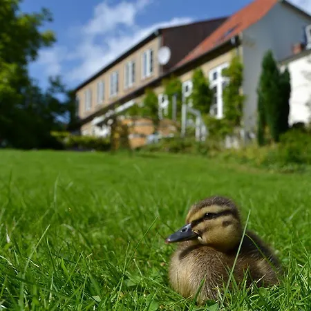 Panzió Det Gamle Apotek Gråsten